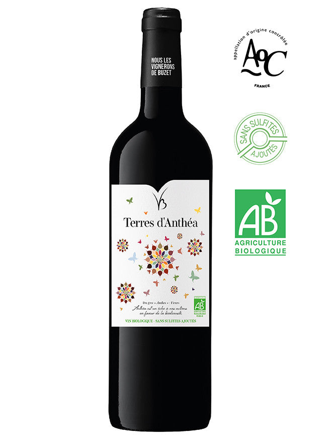 Buzet Terres D'anthéa Organic & No Added Sulphites 2019